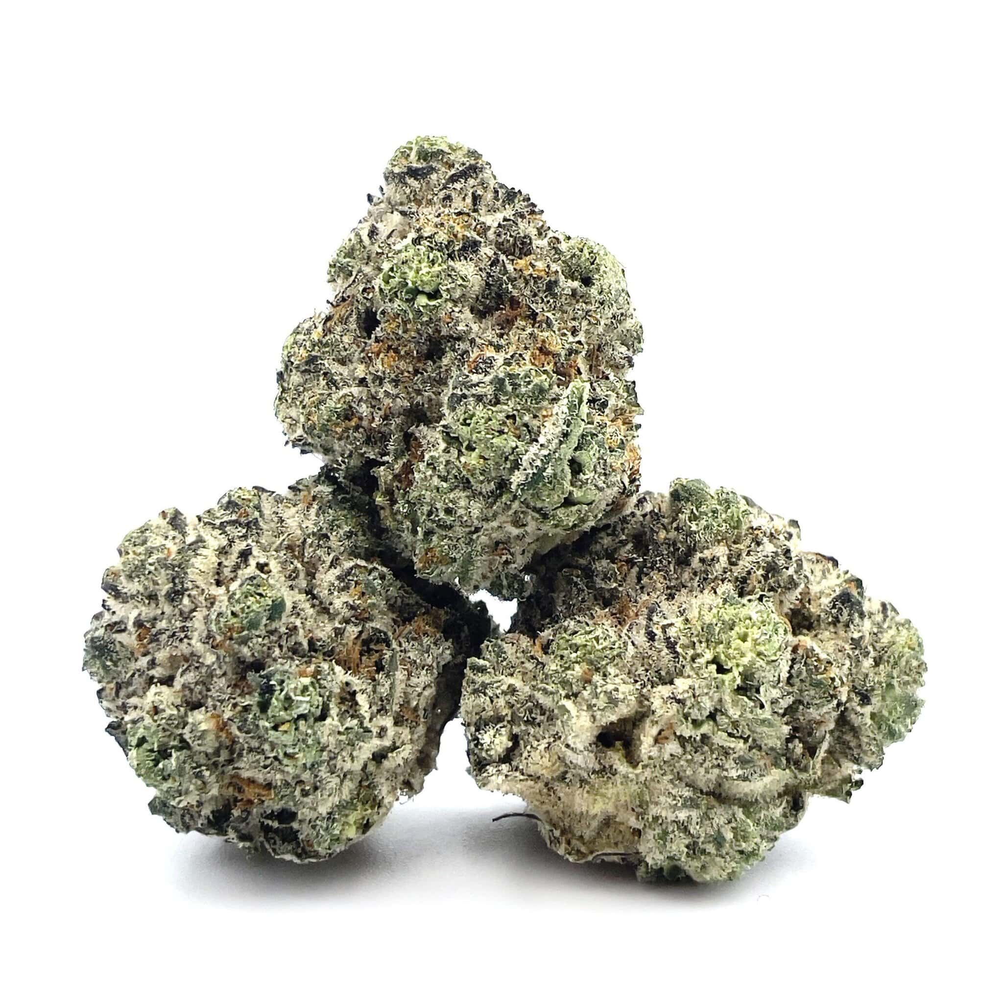 Purple Berry