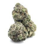 Purple Berry