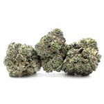 Purple Berry