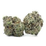Purple Berry