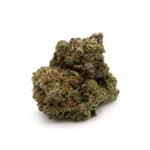 Purple Widow