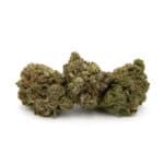 Purple Widow
