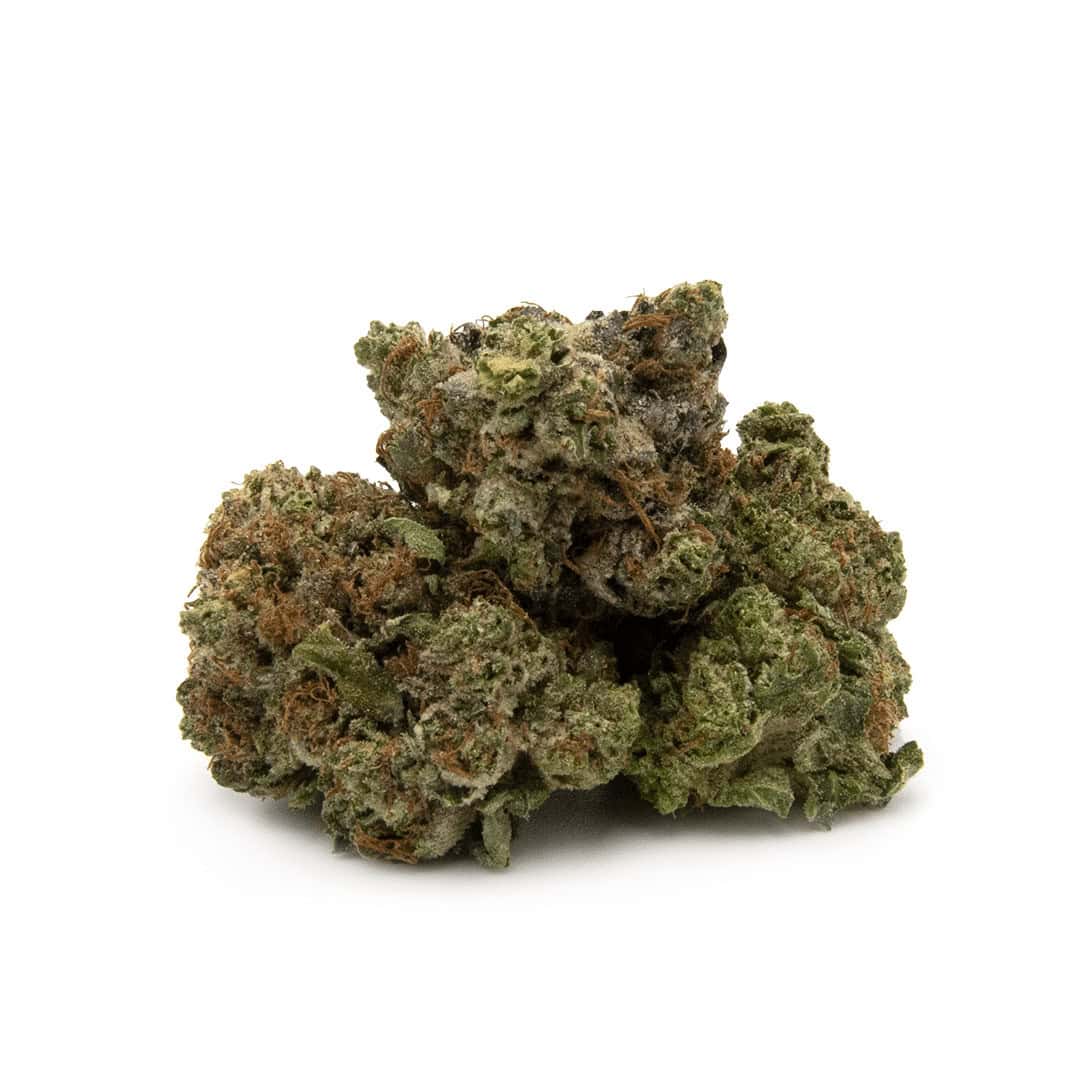 Purple Widow