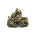 Raspberry Kush