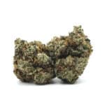 Raspberry Kush