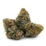 Romulan