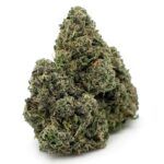 Sun Peaks Cultivation - Chatterbox