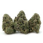 Sun Peaks Cultivation - Chatterbox