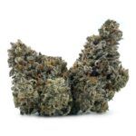 Sun Peaks Cultivation - Dude Where's My Car