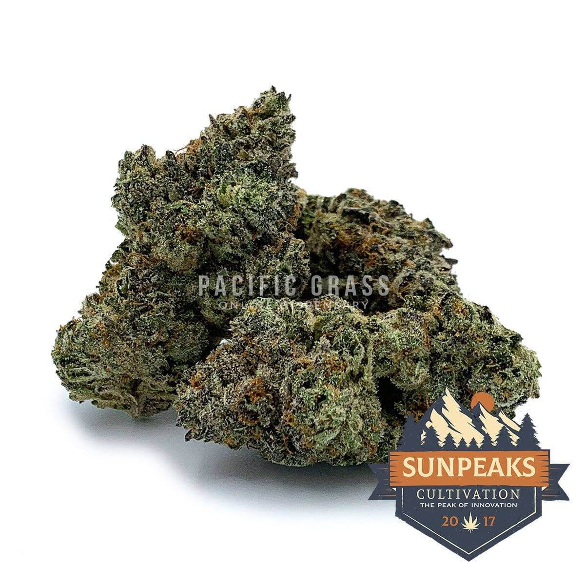Sun Peaks Cultivation - Gorilla Glue #4