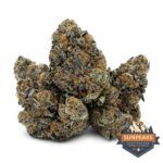 Sun Peaks Cultivation - Jokerz
