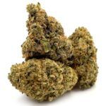 Sun Peaks Cultivation - Lucky Charms