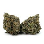Sun Peaks Cultivation - Mochi