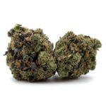 Sun Peaks Cultivation - Sensi Star