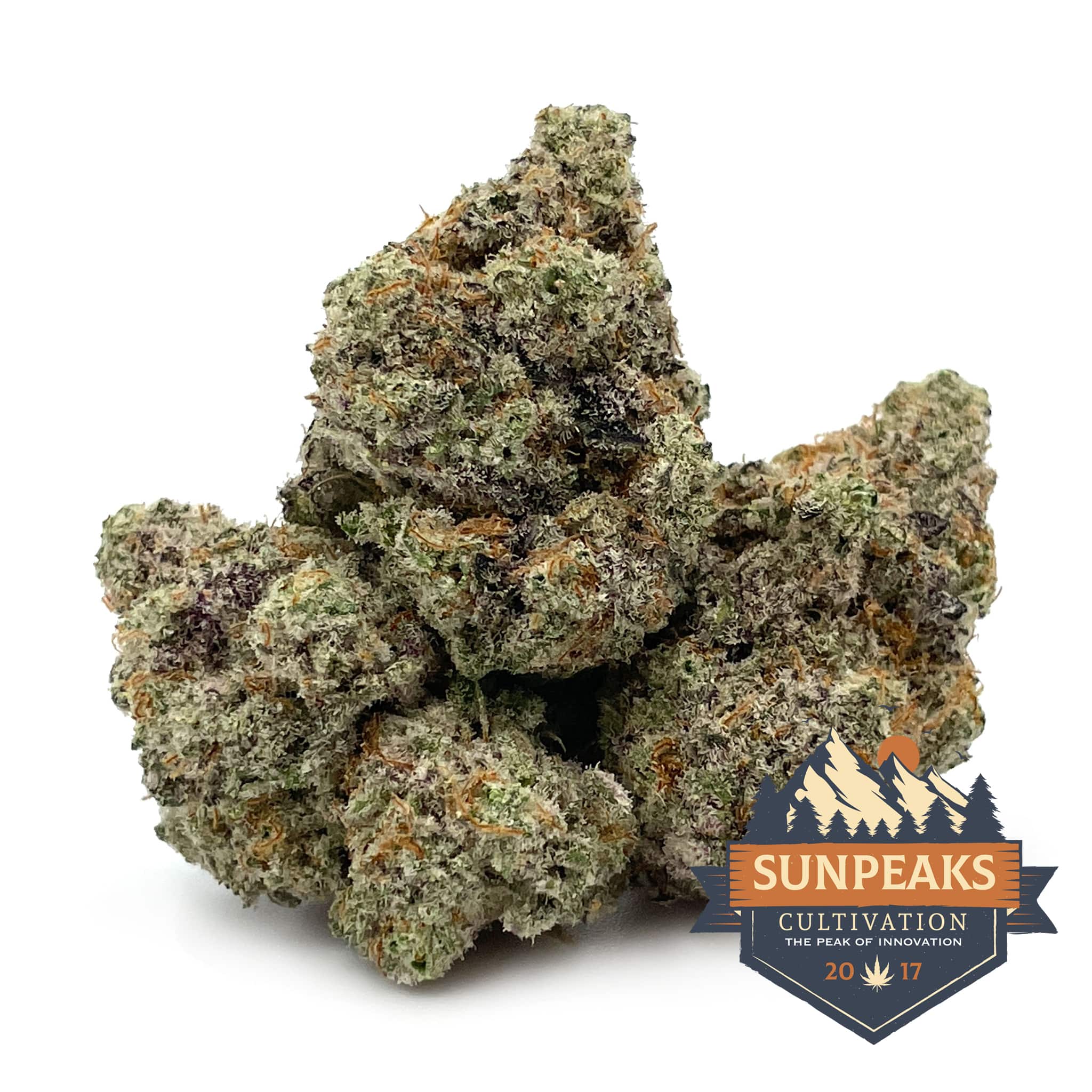 Sun Peaks Cultivation - Starfighter