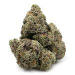 Sun Peaks Cultivation - Starfighter