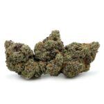 Sun Peaks Cultivation - Starfighter