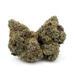 Sun Peaks Cultivation - Starfighter
