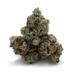 Enigma Extracts - Slap & Tickle - AAAA