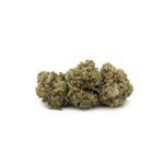 Gas Mask - Smalls