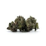 Enigma Extracts - LSO Platinum Rockstar - Smalls