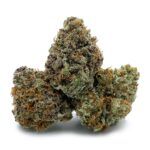 Sugar Cookies