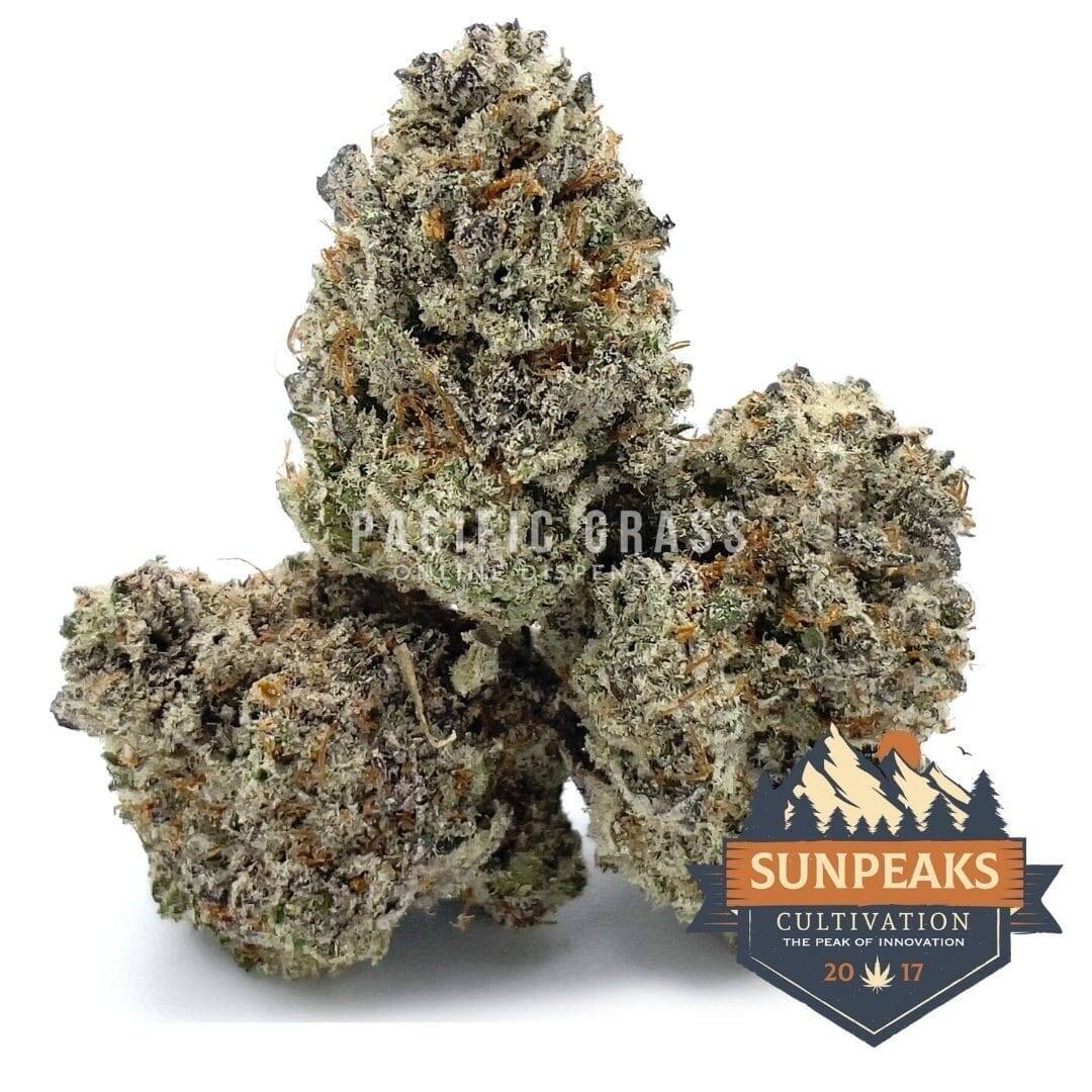 Sun Peaks Cultivation - Jet Fuel Gelato