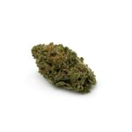 Tangerine Dream