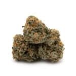Trump OG