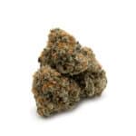Trump OG