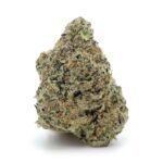White Zombie