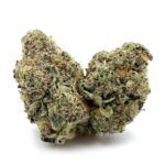 White Zombie
