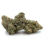 White Zombie