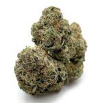 White Zombie