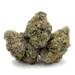 White Zombie