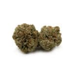 Zombie Kush