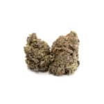 Bubble Gum
