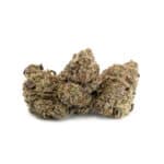 Bubble Gum