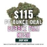 Bubble Gum Kush
