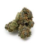 Cherry Afghan