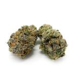 Cherry Afghan