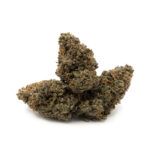 Critical Kush