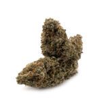 Critical Kush