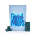 Euphoria Psychedelics - Gummies - 1000mg