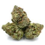 Ghost OG
