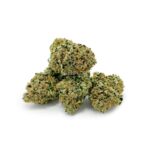 Lindsay OG