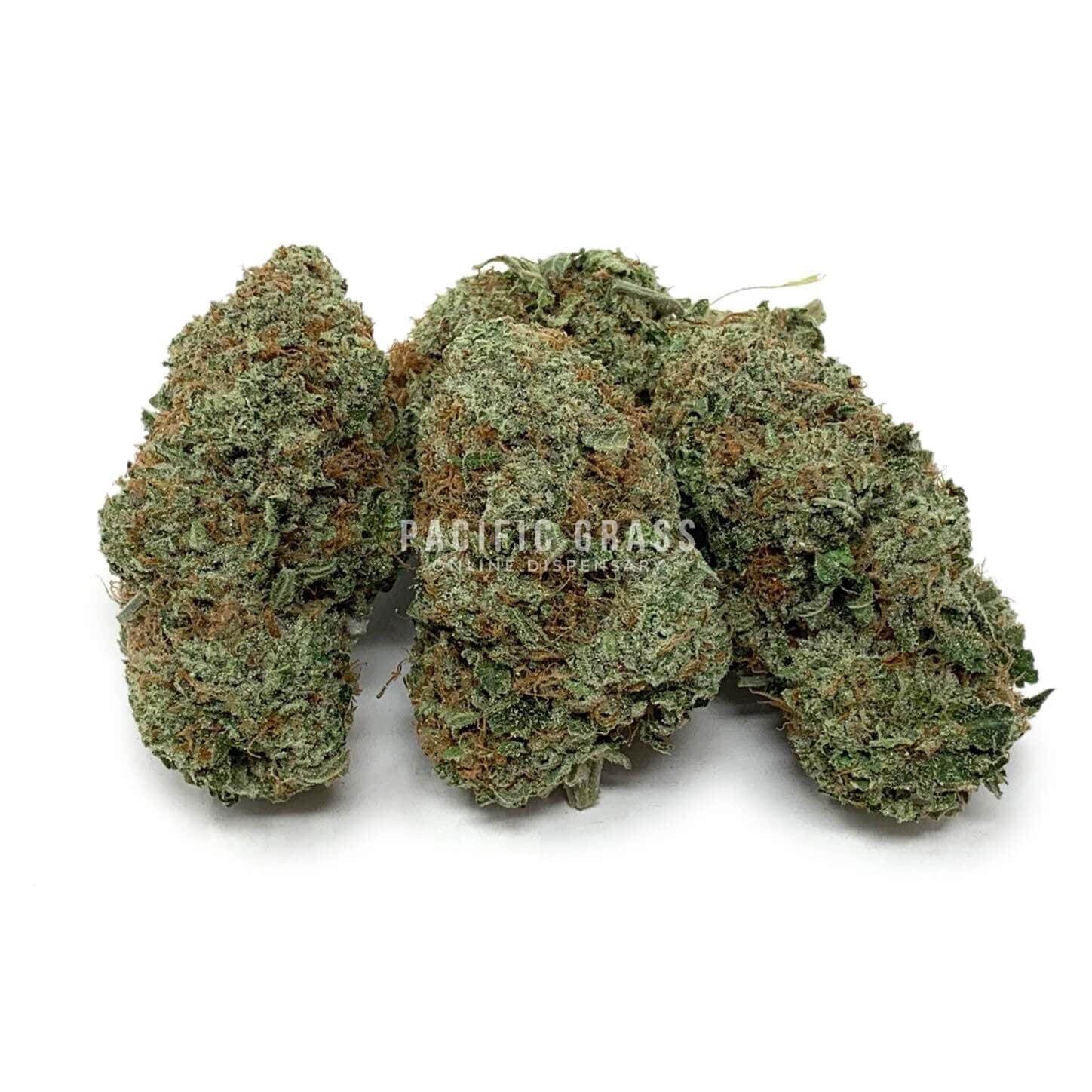 Godfather OG | Pacific Grass
