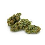 Gorilla Blue