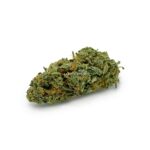 Gorilla Blue