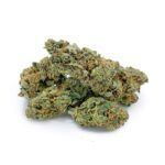 Gorilla Blue